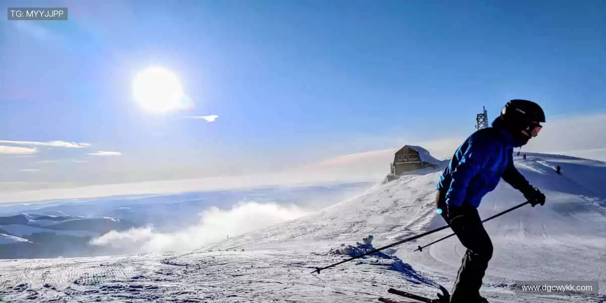 🚴 速度激情,赛道争锋!🏆